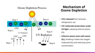 Mechanism of
Ozone Depletion
• CFCs released from aerosols,
refrigerators, etc.
• CFC molecules break down under
UV light, releasing chlorine atoms
(Cl).
• Chlorine atoms react with ozone
(O₃), breaking it down into oxygen
molecules (O₂) and reducing ozone
concentration.
 