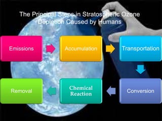The Principal Steps in Stratospheric Ozone
         Depletion Caused by Humans



Emissions         Accumulation        Transportation




                    Chemical
Removal                                 Conversion
                    Reaction
 