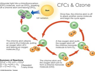 CFCs & Ozone
 