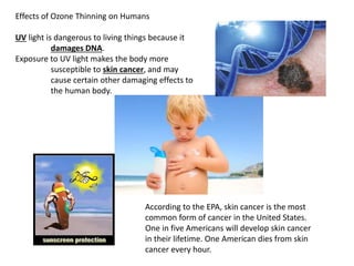 Effects of Ozone Thinning on Humans
UV light is dangerous to living things because it
damages DNA.
Exposure to UV light makes the body more
susceptible to skin cancer, and may
cause certain other damaging effects to
the human body.
According to the EPA, skin cancer is the most
common form of cancer in the United States.
One in five Americans will develop skin cancer
in their lifetime. One American dies from skin
cancer every hour.
 