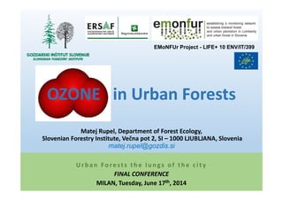 OZONE in Urban Forests
EMoNFUr Project - LIFE+ 10 ENV/IT/399
Urban Forests the lungs of the city
FINAL CONFERENCE
MILAN, Tuesday, June 17thth, 2014
OZONE in Urban Forests
Matej Rupel, Department of Forest Ecology,
Slovenian Forestry Institute, Večna pot 2, SI – 1000 LJUBLJANA, Slovenia
matej.rupel@gozdis.si
 