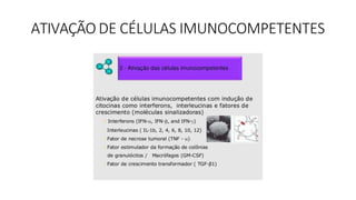 ATIVAÇÃO DE CÉLULAS IMUNOCOMPETENTES
 