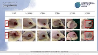 GRAMADO,AGOSTOde 2022
CONSENSO SOBRE OZONIOTERAPIA EM DEISCÊNCIAS CICATRICIAS
CONSENSO ENTRE OS PARTICIPANTES DA 5 JORNADA INTERNACIONAL DE FISIOTERAPIA DERMATOFUNCIONAL EM CIRURGIA PLASTICA, Edição 2022
 