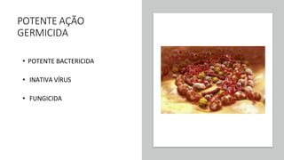 POTENTE AÇÃO
GERMICIDA
• POTENTE BACTERICIDA
• INATIVA VÍRUS
• FUNGICIDA
 
