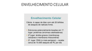 ENVELHECIMENTO CELULAR
 