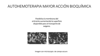 AUTOHEMOTERAPIA MAYOR ACCIÓN BIOQUÍMICA
Flexibiliza la membrana del
eritrocito aumentando la superficie
disponible para el transporte de
oxigeno.
Imagen con microscopio de campo oscuro
 