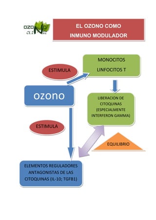 EL OZONO COMO
                     INMUNO MODULADOR



                              MONOCITOS
           ESTIMULA           LINFOCITOS T




    ozono                      LIBERACION DE
                                CITOQUINAS
                              (ESPECIALMENTE
                            INTERFERON GAMMA)

     ESTIMULA


                                  EQUILIBRIO



ELEMENTOS REGULADORES
  ANTAGONISTAS DE LAS
CITOQUINAS (IL-10; TGFB1)
 