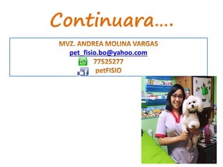 Continuara….
pet_fisio.bo@yahoo.com
 