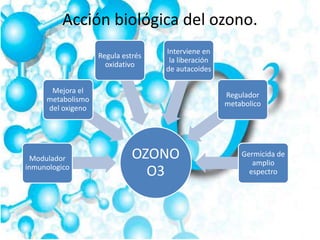 Acción biológica del ozono.
OZONO
O3
Modulador
inmunologico
Mejora el
metabolismo
del oxigeno
Regula estrés
oxidativo
Interviene en
la liberación
de autacoides
Regulador
metabolico
Germicida de
amplio
espectro
 