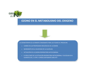 OZONO EN EL METABOLISMO DEL OXIGENO




LA OZONOTERAPIA ES ALTAMENTE OXIGENANTE PARA LOS TEJIDOS AL PROVOCAR:

      CAMBIO EN LAS PROPIEDADES REOLÓGICAS DE LA SANGRE

      INCREMENTO EN LA VELOCIDAD DE LA GLICÓLISIS.

      ACTIVACIÓN DE LA CADENA RESPIRATORIA MITOCONDRIAL.

      EL RESULTADO DE LA ACTIVACIÓN RESPIRATORIA MITOCONDRIAL Y GLICOLISIS ES EL
       AUMENTO DEL 2-3 DPG Y CONSECUENTEMENTE MÁS ATP
 