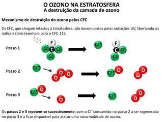 O OZONO NA ESTRATOSFERA
A destruição da camada de ozono
Mecanismo de destruição do ozono pelos CFC
Os CFC, que chegam intactos à Estratosfera, são decompostos pelas radiações UV, libertando os
radicais cloro (exemplo para o CFC-11).
Cl
Cl
Cl
F
C
Cl •
Cl
Cl
F
CPasso 1
Passo 2
Passo 3
Cl •
O
O
O
O
O
OCl •
OCl •
O
O
OCl •
Os passos 2 e 3 repetem-se sucessivamente, com o Cl • consumido no passo 2 a ser regenerado
no passo 3 e a ficar disponível para atacar uma nova molécula de ozono.
 