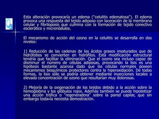 Esta alteración provocaría un edema ("celulitis edematosa"). El edema
provoca una respuesta del tejido adiposo con laceración de la membrana
celular y fibriloposis que culmina con la formación de tejido conectivo
esclerótico y micronódulos.
El mecanismo de acción del ozono en la celulitis se desarrolla en dos
niveles:
1) Reducción de las cadenas de los ácidos grasos insaturados que de
hidrófobos se convierten en hidrófilos. Esta modificación estructural
tendría que facilitar la eliminación. Que el ozono sea incluso capaz de
disminuir el número de células adiposas, provocando la lisis es una
hipótesis bastante azarosa dado que las células normales poseen
mecanismos bioquímicos protectores contra la hiperoxidación. De todas
formas, la lisis sólo se podría obtener mediante inyecciones locales a
elevada concentración de ozono que resultarían muy dolorosas.
2) Mejoría de la oxigenación de los tejidos debido a la acción sobre la
hemoglobina y los glóbulos rojos. Además también se puede hipotetizar
una acción trófica o "regeneradora" sobre la pared capilar, que sin
embargo todavía necesita demostración.
 