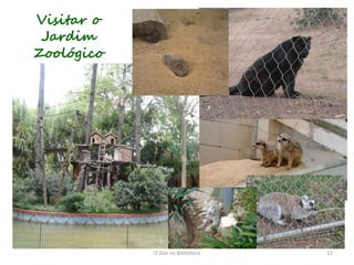 Visitar o
 Jardim
Zoológico




            O Zoo na Biblioteca   12
 