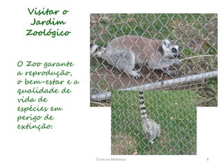 Visitar o
   Jardim
  Zoológico


O Zoo garante
a reprodução,
o bem-estar e a
qualidade de
vida de
espécies em
perigo de
extinção.



                  O Zoo na Biblioteca   8
 