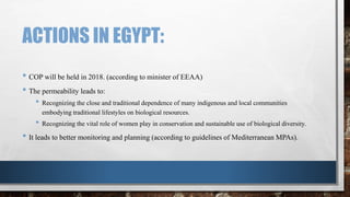 ACTIONS IN EGYPT:
• COP will be held in 2018. (according to minister of EEAA)
• The permeability leads to:
• Recognizing the close and traditional dependence of many indigenous and local communities
embodying traditional lifestyles on biological resources.
• Recognizing the vital role of women play in conservation and sustainable use of biological diversity.
• It leads to better monitoring and planning (according to guidelines of Mediterranean MPAs).
 