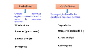 Biossintético Degradativo
Redutor (ganho de e-) Oxidativo (perda de e-)
Requer energia Libera energia
Divergente Convergente
Decomposição de moléculas
grandes em moléculas menores
Grandes moléculas
orgânicas são construídas a
partir de moléculas
menores
Anabolismo Catabolismo
 