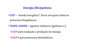 Energia (Bio)química
ATP – “moeda energética”. Serve em quase todos os
processos bioquímicos.
NADH, NADPH – Agentes redutores (ganham e-).
NADH para oxidação e produção de energia.
NADPH para processos biosintéticos.
 