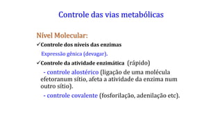 Controle das vias metabólicas
Nível Molecular:
Controle dos níveis das enzimas
Expressão gênica (devagar).
Controle da atividade enzimática (rápido)
- controle alostérico (ligação de uma molécula
efetoranum sítio, afeta a atividade da enzima num
outro sítio).
- controle covalente (fosforilação, adenilação etc).
 