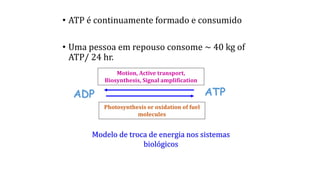 • ATP é continuamente formado e consumido
• Uma pessoa em repouso consome ~ 40 kg of
ATP/ 24 hr.
ADP ATP
Motion, Active transport,
Biosynthesis, Signal amplification
Photosynthesis or oxidation of fuel
molecules
Modelo de troca de energia nos sistemas
biológicos
 