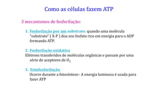 Como as células fazem ATP
3 mecanismos de fosforilação:
1. Fosforilação por um substrato: quando uma molécula
“substrato” ( X-P ) doa seu fosfato rico em energia para o ADP
formando ATP.
2. Fosforilação oxidativa
Elétrons transferidos de moléculas orgânicas e passam por uma
série de aceptores de O2
3. Fotofosforilação
Ocorre durante a fotosíntese– A energia luminosa é usada para
fazer ATP
 