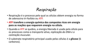 Respiração
• Respiração é o processo pelo qual as células obtem energia na forma
de adenosina tri-fosfato ou ATP.
• ATP transfere a energia química dos compostos ricos em energia
para as reações que requerem energia na célula.
• Quando o ATP se quebra, a energia liberada é usada pela célula para
os processos como o transporte ativo, replicação do DNA e a
contração muscular.
• O substrato respiratório principal usado pelas células é a glicose (6
carbonos).
 