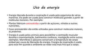 Uso da energia
• Energia liberada durante a respiração é usada pelo organismo de várias
maneiras. Ela pode ser usada para construir moléculas grandes a partir de
moléculas menores. Por exemplo:
• Plantas fabricam aminoácidos a partir de açúcares, nitratos e outros
nutrientes.
• Esses aminoácidos são então utilizados para construir moleculas maiores,
as proteínas.
• Energia é usada pelos animais para possibilitar a contração muscular
durante a movimentação, batimentos cardíacos, mastigação entre outros
exemplos. Mamíferos e pássaros conservam a temperature do corpo
estável por causa da liberação da energia. Energia da respiração é usada
para esse fim quando o ambiente ao redor está mais frio que o corpo.
 