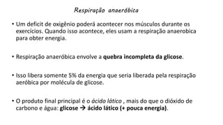 Respiração anaeróbica
• Um deficit de oxigênio poderá acontecer nos músculos durante os
exercícios. Quando isso acontece, eles usam a respiração anaerobica
para obter energia.
• Respiração anaeróbica envolve a quebra incompleta da glicose.
• Isso libera somente 5% da energia que seria liberada pela respiração
aeróbica por molécula de glicose.
• O produto final principal é o ácido lático , mais do que o dióxido de
carbono e água: glicose  ácido lático (+ pouca energia).
 