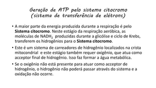 Geração de ATP pelo sistema citocromo
(sistema de transferência de elétrons)
• A maior parte da energia produzida durante a respiração é pelo
Sistema citocromo. Neste estágio da respiração aeróbica, as
moléculas de NADH2 produzidas durante a glicólise e ciclo de Krebs,
transferem os hidrogênios para o Sistema citocromo.
• Este é um sistema de carreadores de hidrogênio localizados na crista
mitocondrial e este estágio também requer oxigênio, que atua como
acceptor final de hidrogênio. Isso faz formar a água metabólica.
• Se o oxigênio não está presente para atuar como acceptor de
hidrogênio, o hidrogênio não poderá passar através do sistema e a
oxidação não ocorre.
 
