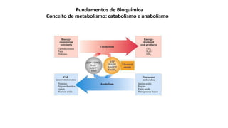 Fundamentos de Bioquímica
 