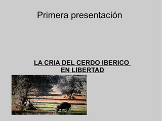 Primera presentación
LA CRIA DEL CERDO IBERICO
EN LIBERTAD
 