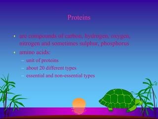 Proteins 
 are compounds of carbon, hydrogen, oxygen, 
nitrogen and sometimes sulphur, phosphorus 
 amino acids: 
– unit of proteins 
– about 20 different types 
– essential and non-essential types 
 