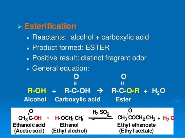 P.l alcohols and phenols