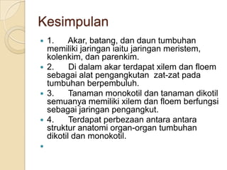P Point Biologi