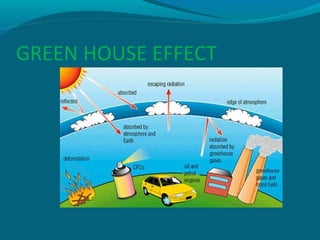 GREEN HOUSE EFFECT

 