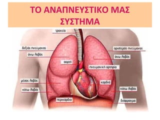 ΤΟ ΑΝΑΠΝΕΥΣΤΙΚΟ ΜΑΣ
ΣΥΣΤΗΜΑ
 