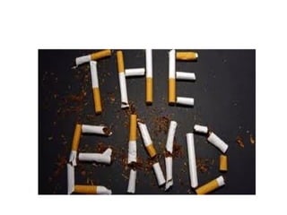 καπνισμα P.point