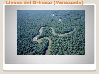 Llanos del Orinoco (Venezuela)
 