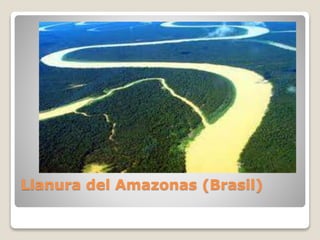 Llanura del Amazonas (Brasil)
 