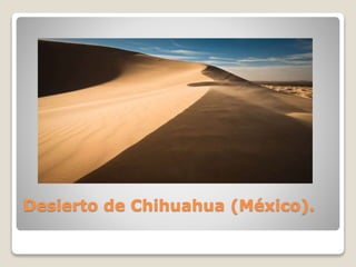Desierto de Chihuahua (México).
 