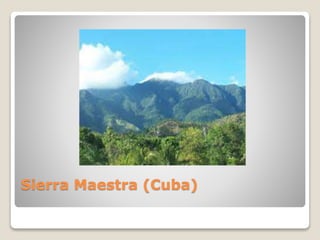Sierra Maestra (Cuba)
 