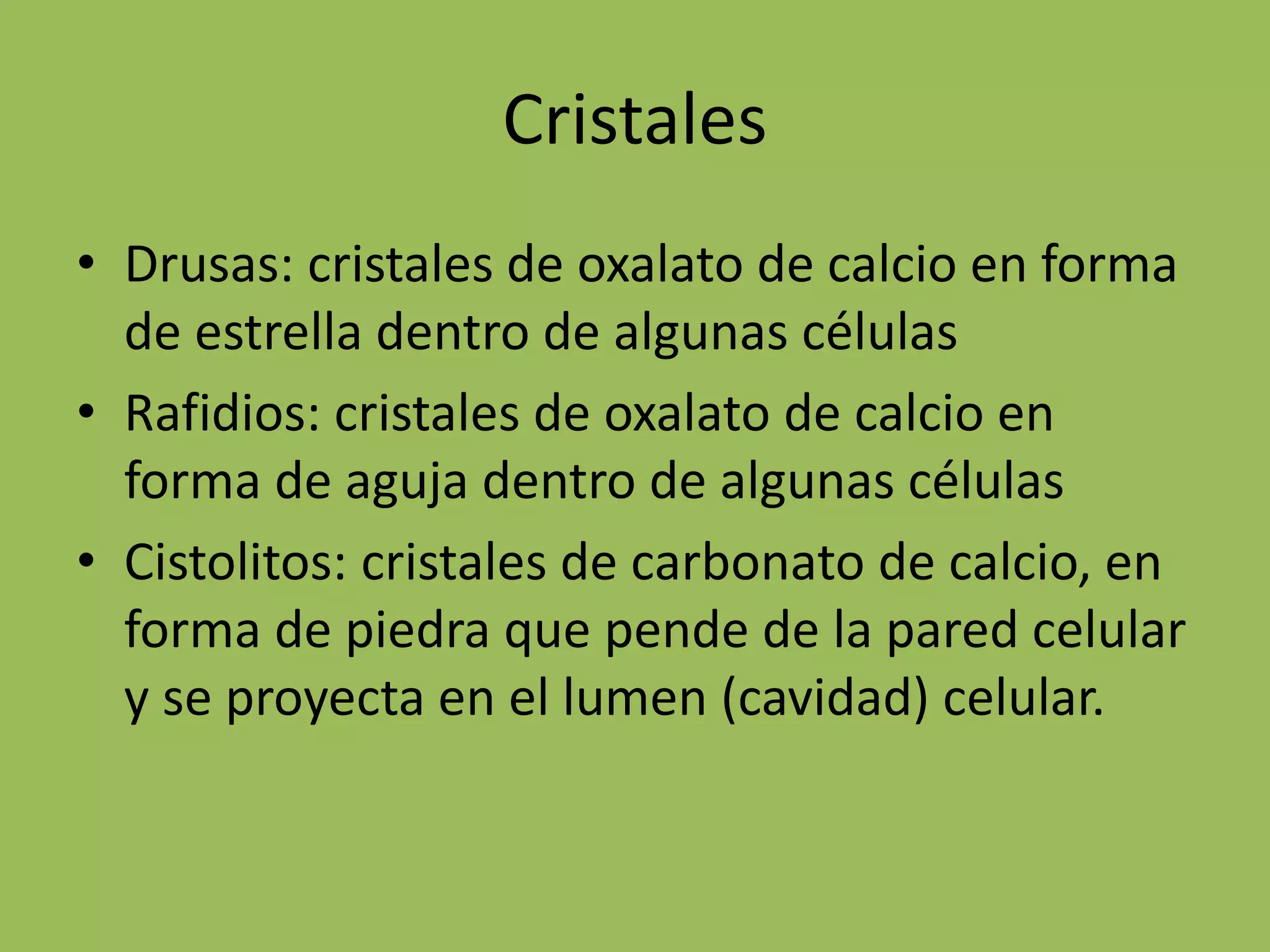 Cristales
• Drusas: cristales de oxalato de calcio en forma
de estrella dentro de algunas células
• Rafidios: cristales de oxalato de calcio en
forma de aguja dentro de algunas células
• Cistolitos: cristales de carbonato de calcio, en
forma de piedra que pende de la pared celular
y se proyecta en el lumen (cavidad) celular.