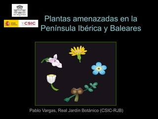Plantas amenazadas en la
Península Ibérica y Baleares
Pablo Vargas, Real Jardín Botánico (CSIC-RJB)
 