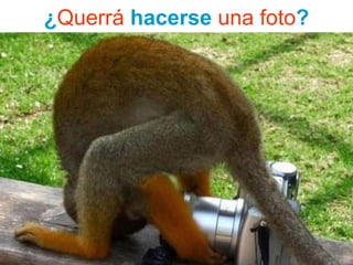 ¿Querrá hacerse una foto?
 