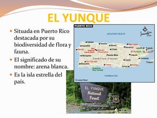 EL YUNQUE
 Situada en Puerto Rico
destacada por su
biodiversidad de flora y
fauna.
 El significado de su
nombre: arena blanca.
 Es la isla estrella del
país.
 