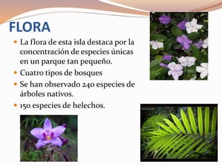 FLORA
 La flora de esta isla destaca por la
concentración de especies únicas
en un parque tan pequeño.
 Cuatro tipos de bosques
 Se han observado 240 especies de
árboles nativos.
 150 especies de helechos.
 