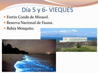 Día 5 y 6- VIEQUES
 Fortín Conde de Mirasol.
 Reserva Nacional de Fauna.
 Bahía Mosquito.
 