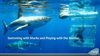 Swimming with Sharks and Playing with the Gorillas
 