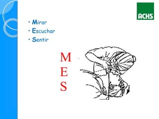 • Mirar
• Escuchar
• Sentir
M
E
S
 