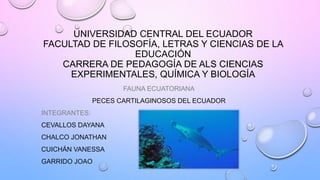 UNIVERSIDAD CENTRAL DEL ECUADOR
FACULTAD DE FILOSOFÍA, LETRAS Y CIENCIAS DE LA
EDUCACIÓN
CARRERA DE PEDAGOGÍA DE ALS CIENCIAS
EXPERIMENTALES, QUÍMICA Y BIOLOGÍA
FAUNA ECUATORIANA
PECES CARTILAGINOSOS DEL ECUADOR
INTEGRANTES:
CEVALLOS DAYANA
CHALCO JONATHAN
CUICHÁN VANESSA
GARRIDO JOAO
 