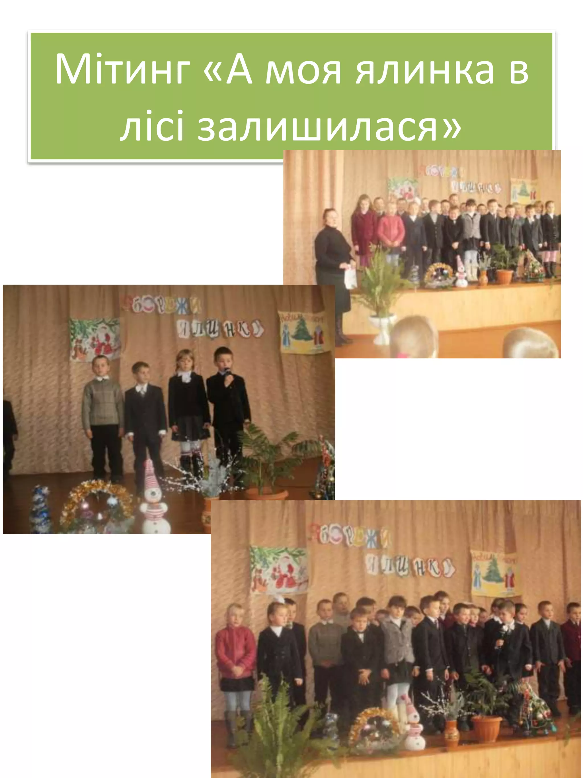 Мітинг «А моя ялинка в
лісі залишилася»
 